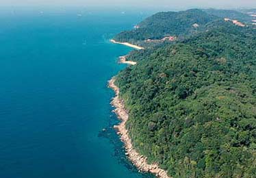 每日大赛这波讨论的核心—玩法怎么判？看完心里空了一下太戳心，你会发现完全不一样