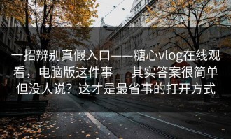 一招辨别真假入口——糖心vlog在线观看，电脑版这件事 ｜ 其实答案很简单但没人说？这才是最省事的打开方式