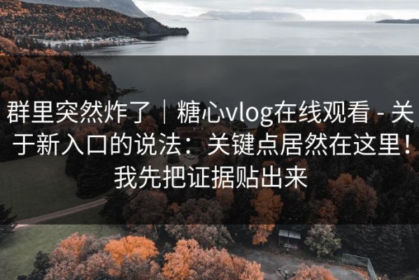 群里突然炸了｜糖心vlog在线观看 - 关于新入口的说法：关键点居然在这里！我先把证据贴出来
