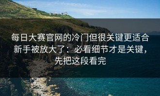 每日大赛官网的冷门但很关键更适合新手被放大了：必看细节才是关键，先把这段看完