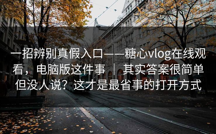 一招辨别真假入口——糖心vlog在线观看，电脑版这件事 ｜ 其实答案很简单但没人说？这才是最省事的打开方式